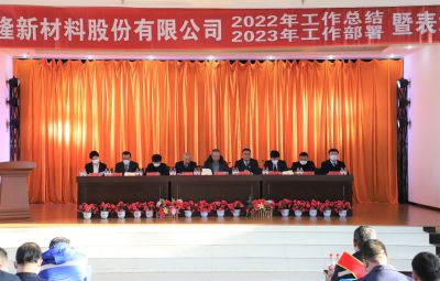 破浪逐新 奮進未來|寶泰隆2022年度總結(jié)暨表彰大會隆重舉行