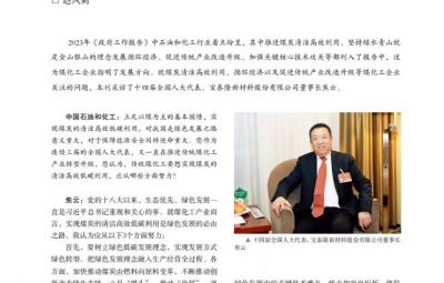 打破傳統(tǒng)走綠色轉(zhuǎn)型之路——訪十四屆全國人大代表、寶泰隆新材料股份有限公司董事長焦云